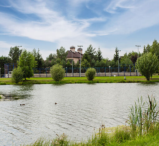 Дом на лесном участке в Бенилюксе