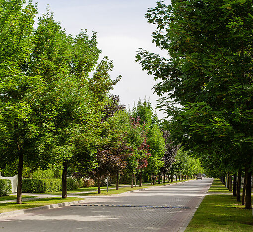 Дом на лесном участке в Бенилюксе