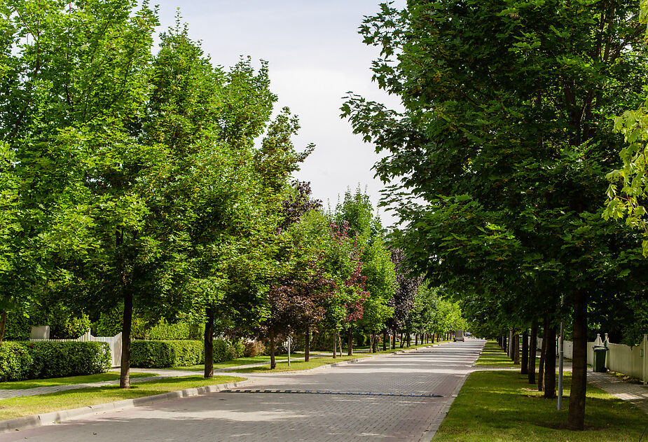 Дом на лесном участке в Бенилюксе