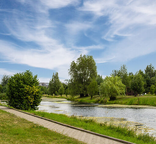 Дом на лесном участке в Бенилюксе