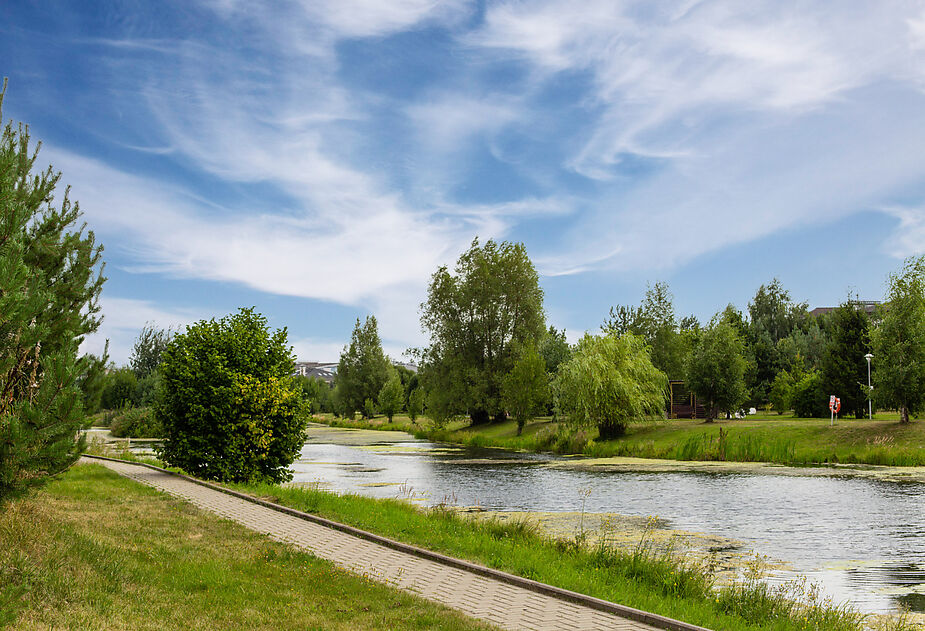 Дом на лесном участке в Бенилюксе