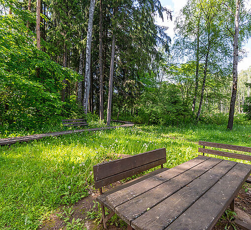 Большая Вода