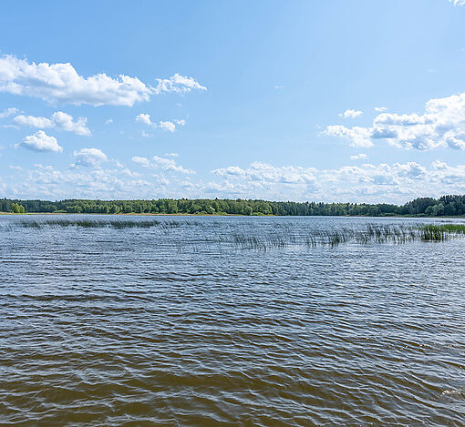 Большая Вода