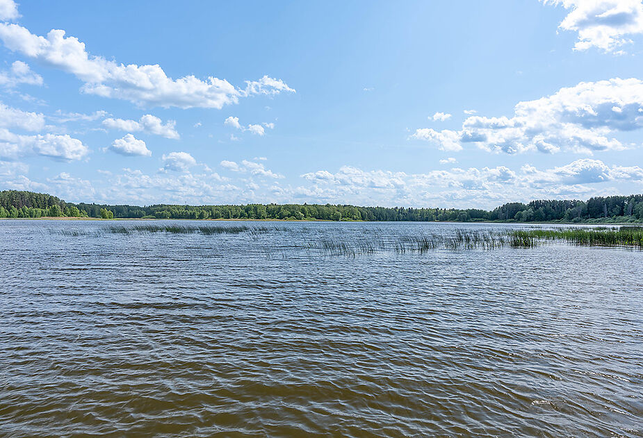 Большая Вода