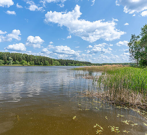 Большая Вода