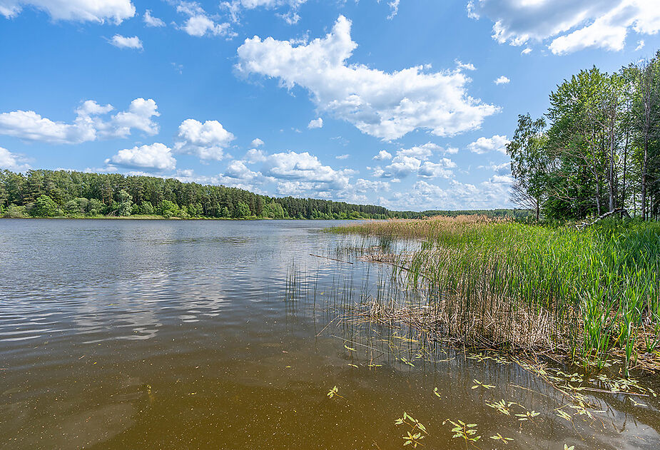 Большая Вода