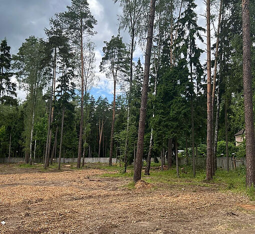 Лесной участок в КП Лесные зори