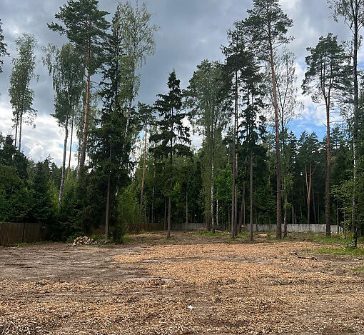 Лесной участок в КП Лесные зори