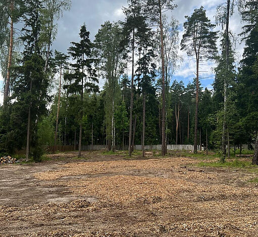 Лесной участок в КП Лесные зори