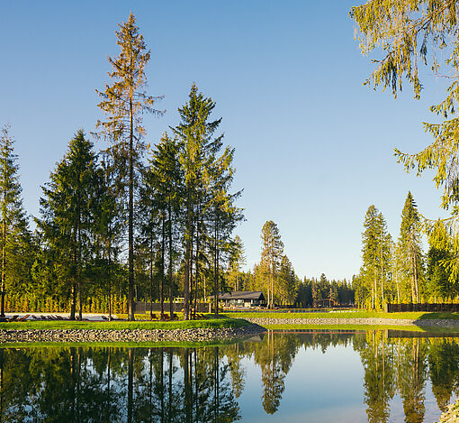 Участок в Ели Estate (Венеция)