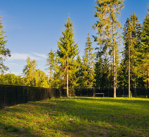 Участок в Ели Estate (Венеция)