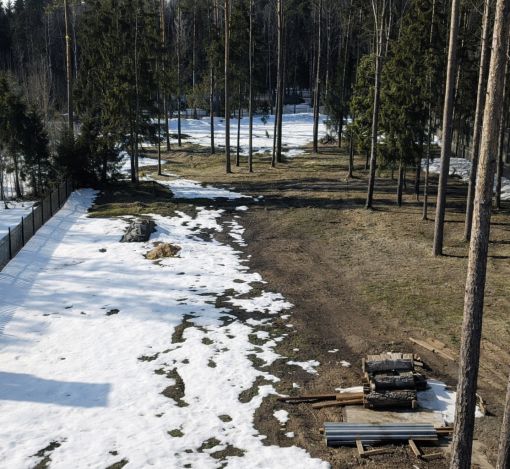 Участок в КП Лесные зори