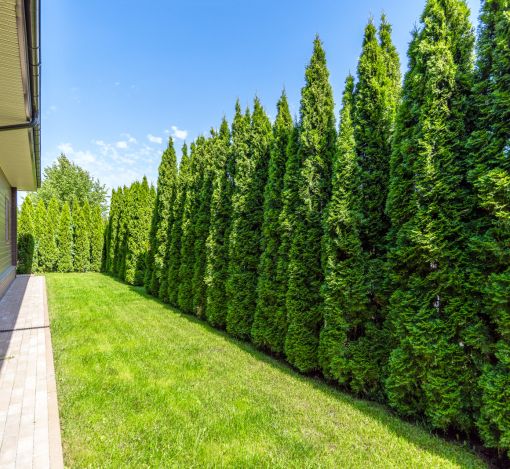 Одноэтажный дом в КП Новорижский