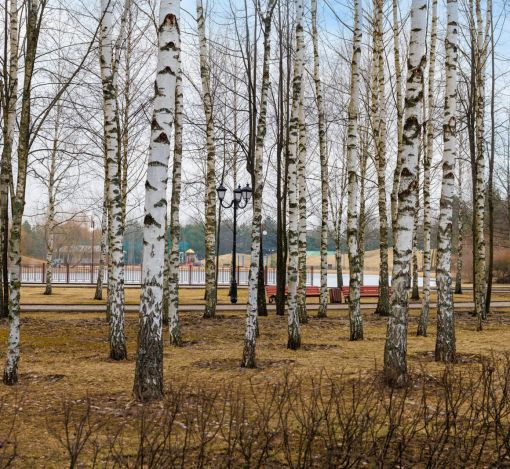 Современный дом в КП Онегино