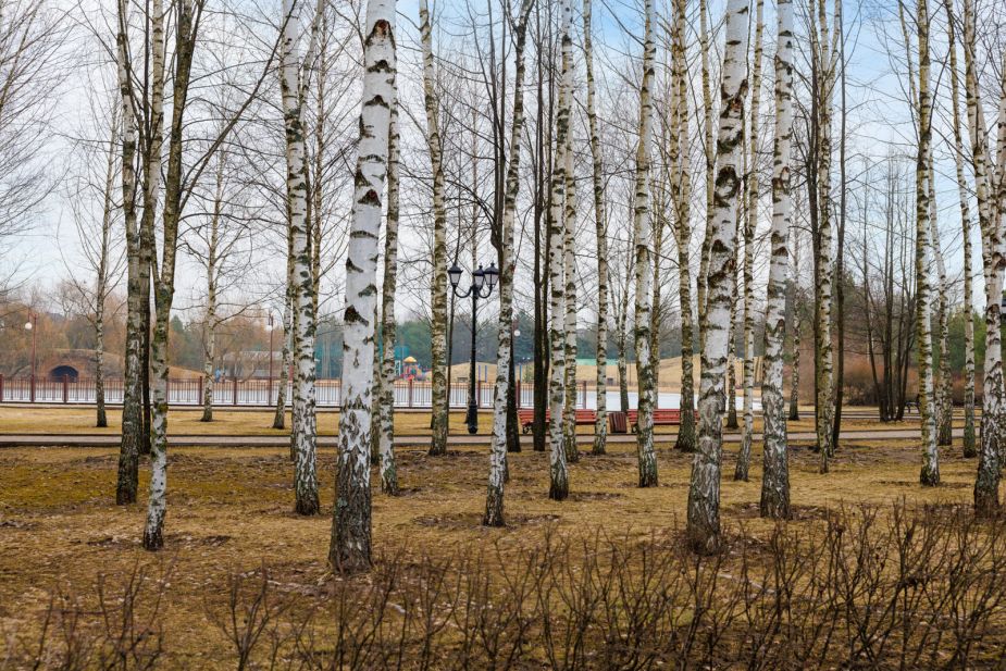 Современный дом в КП Онегино