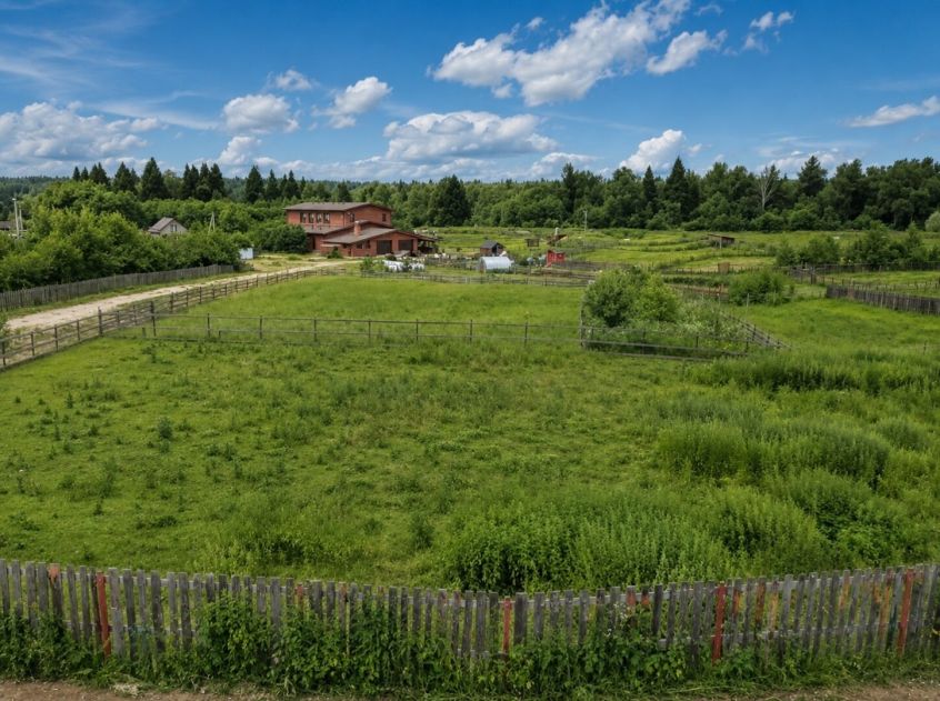 Готовая ферма в Хмолино