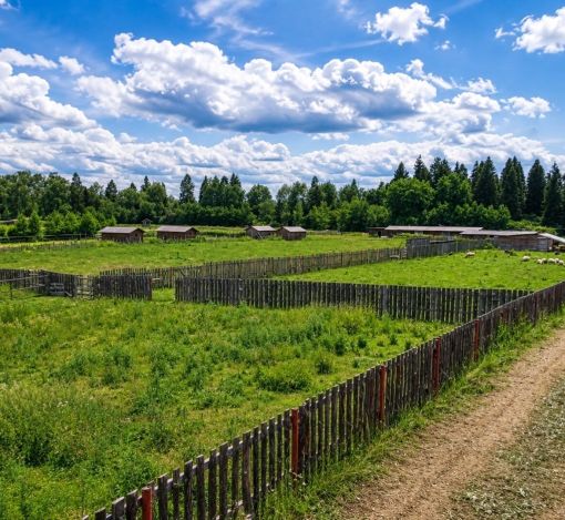 Готовая ферма в Хмолино