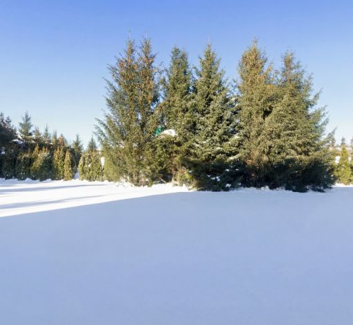 Новый дом в КП Архангельское-2