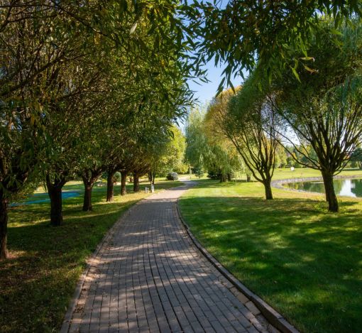 Участок в КП Миллениум Парк