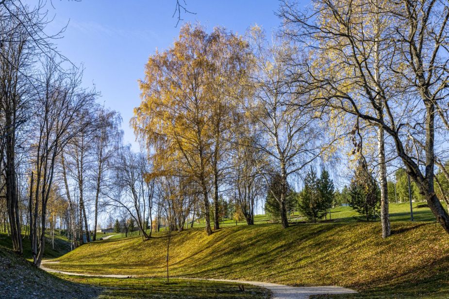 Участок в КП Кристалл Истра