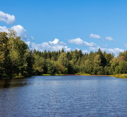 Классический дом в Славково