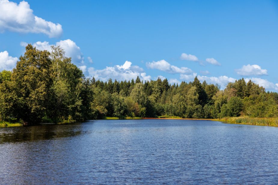 Классический дом в Славково