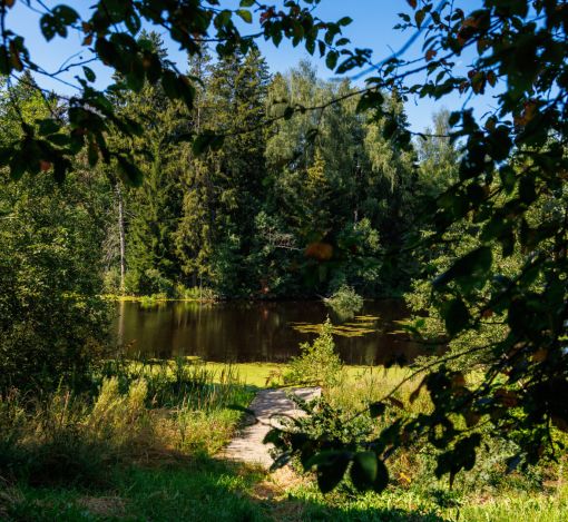 Классический дом в Славково