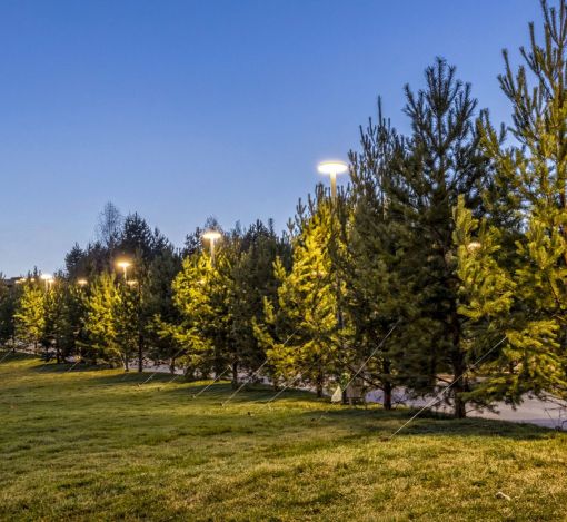 Кристал Истра