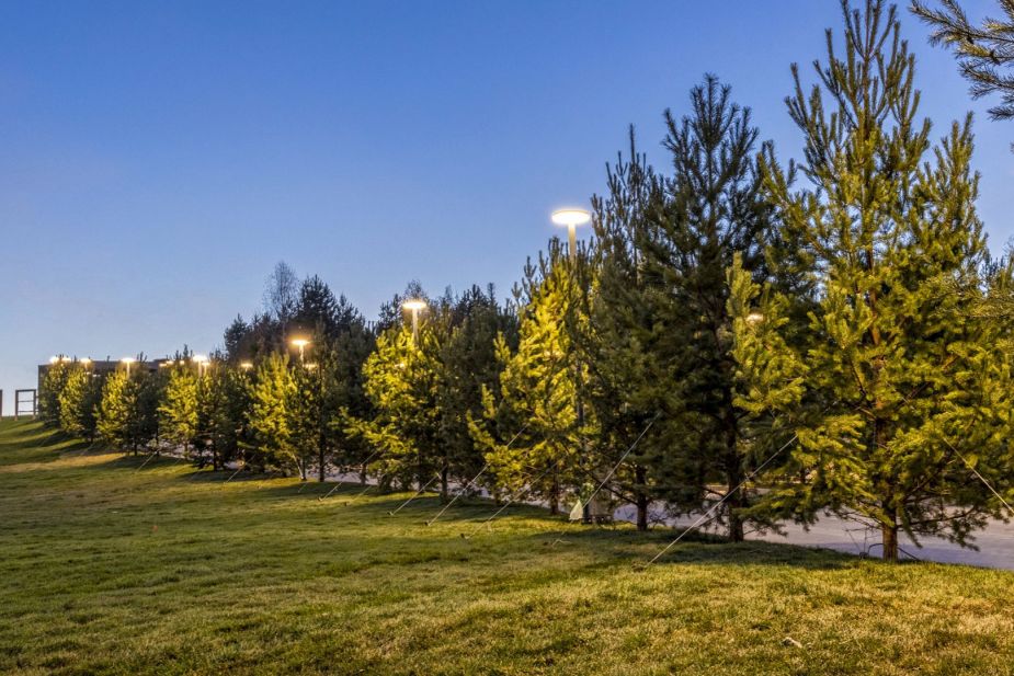 Кристал Истра