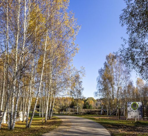 Кристал Истра