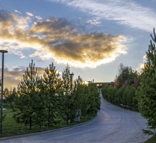 Кристал Истра