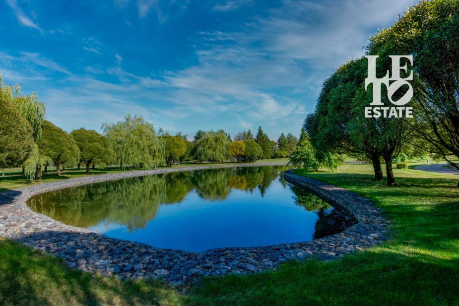 Готовый дом в Миллениум парке