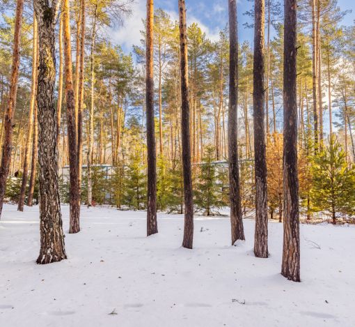 Дом в Кп Николина Слобода