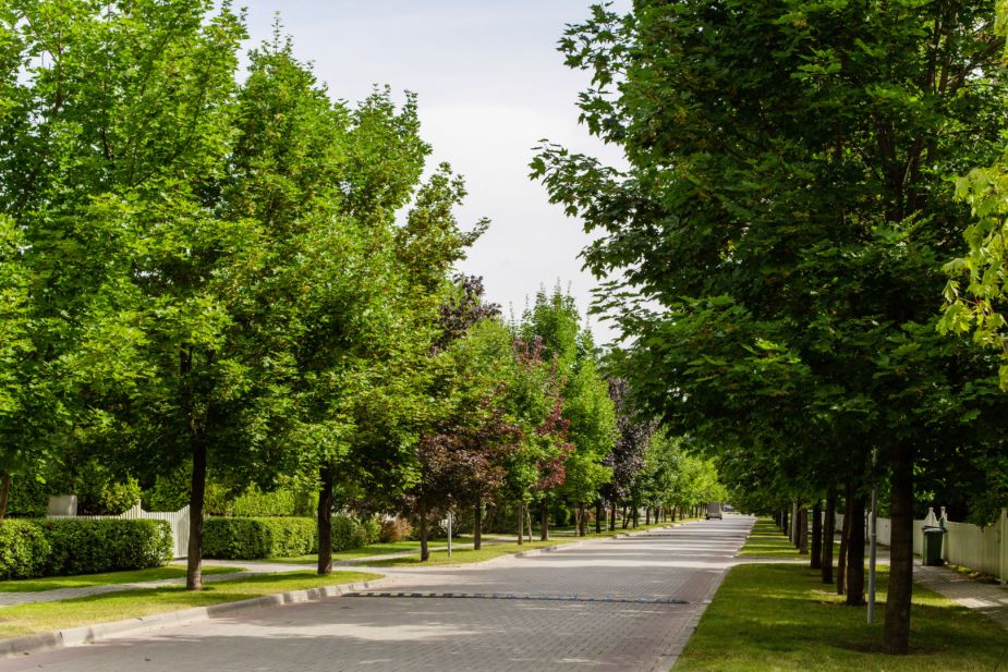 Участок в Резиденции Бенилюкс