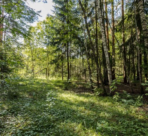 Участок в Резиденции Бенилюкс