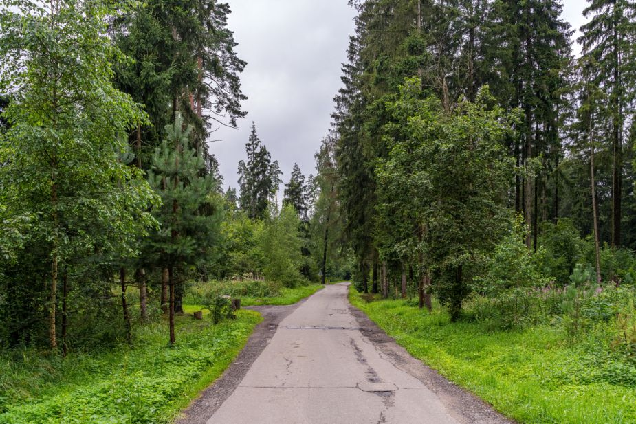 Прилесной участок в КП Ивановское