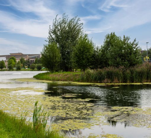 Дом в КП Резиденция Бенилюкс