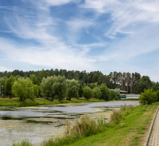 Дом в КП Резиденция Бенилюкс