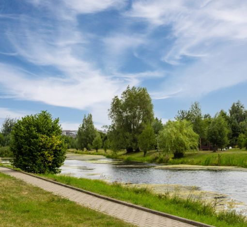 Дом в КП Резиденция Бенилюкс