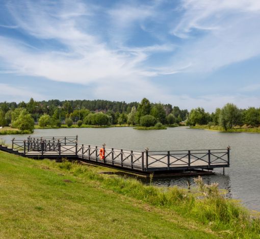 Резиденции Бенилюкс