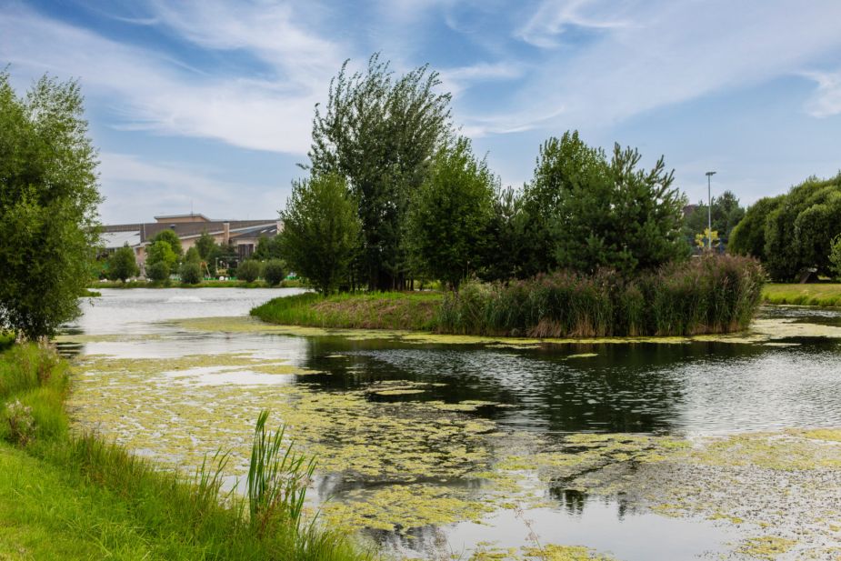 Участок в КП Резиденции Бенилюкс