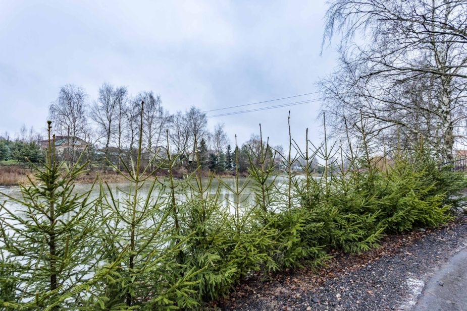 Дом "под ключ" у воды.