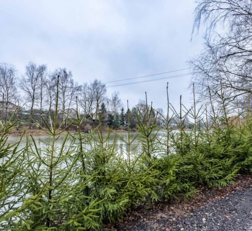 Покровское