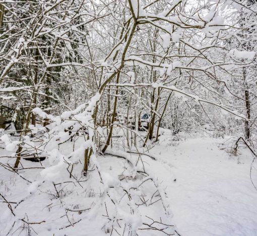 Лесной участок в КП Вымпел