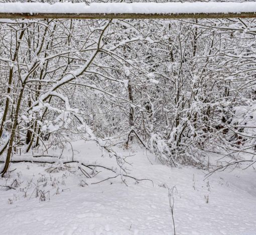 Лесной участок в КП Вымпел