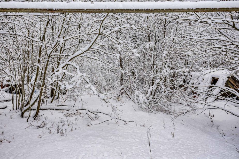 Лесной участок в КП Вымпел