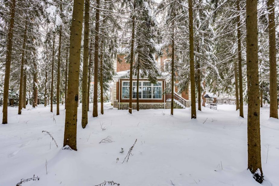 Участок у леса в КП Шервуд