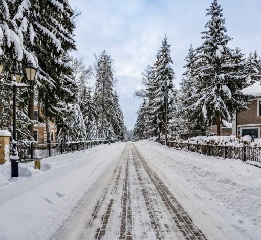 Участок у леса в КП Шервуд