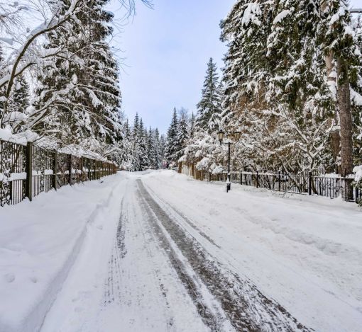 Участок у леса в КП Шервуд