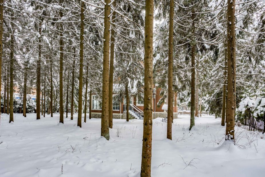 Дом на лесном участке в КП Шервуд